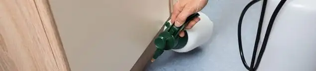 Bed bug exterminator treating baseboards and cracks with targeted spray in Honolulu, HI