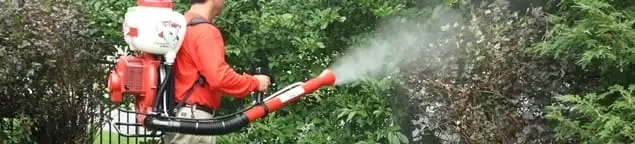 Mosquito control technician fogging shrubs and landscaping for mosquito treatment in Honolulu, HI