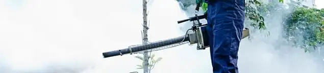 Pest control technician fogging an outdoor area for insect control in Honolulu, HI