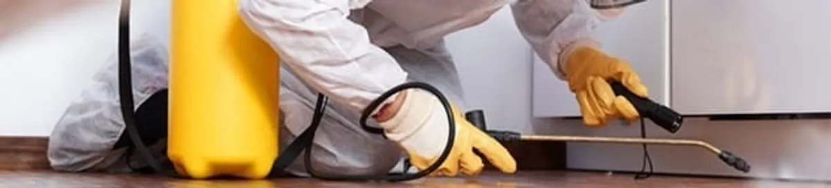 Roach exterminator treating cracks and crevices along kitchen baseboards in Honolulu, HI