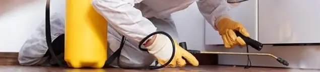 Roach exterminator treating cracks and crevices along kitchen baseboards in Honolulu, HI