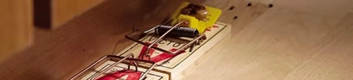 Rodent trap set indoors for rodent control and prevention in Honolulu, HI