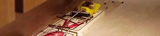 Rodent trap set indoors for rodent control and prevention in Honolulu, HI