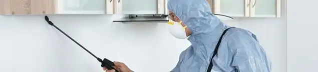 Termite treatment technician applying indoor pest control spray in Honolulu, HI